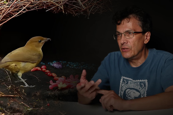 Так возникает жизнь