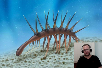 Неожиданно наземные