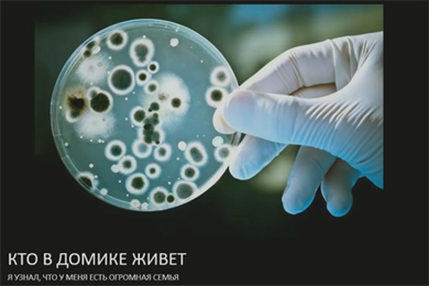 Как человек существует в мире бактерий
