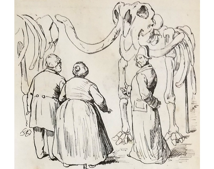 Карикатура с мамонтом