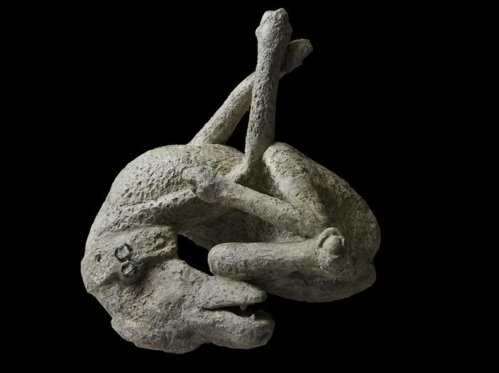 Гипсовая фигура собаки