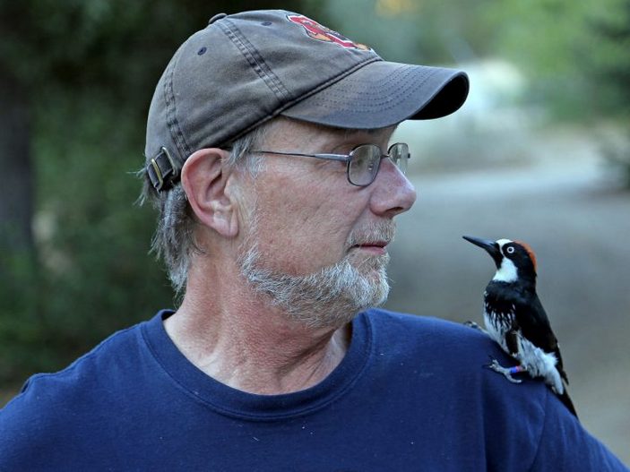 Уолтер Кениг с дятлом