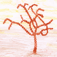 Плодовые тела амебы-слизевика Acrasis kona