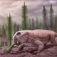 Листрозавры, самые многочисленные сухопутные позвоночные раннего триаса, до недавних пор были известны только по скелетам