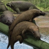 Перплексизавр