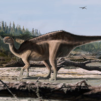 Новый вид игуанодонтов, Istiorachis macarthurae