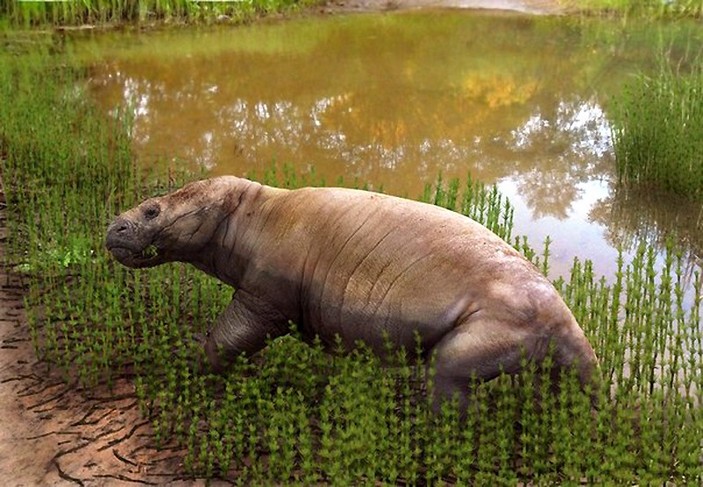 Реконструкция пасущегося австралобарбара