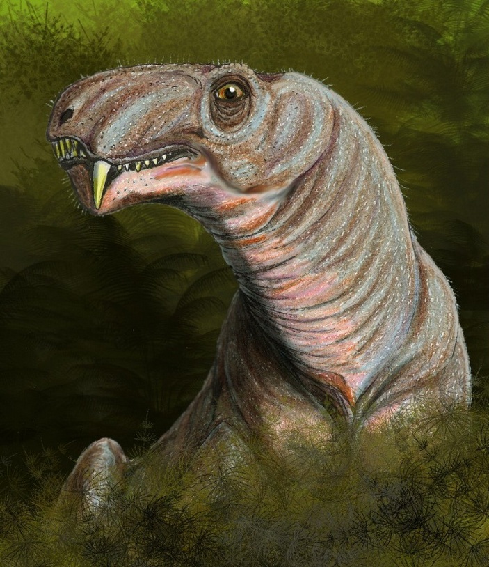 Камагоргон