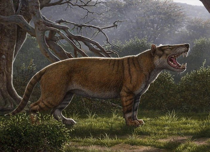 Симбакубва