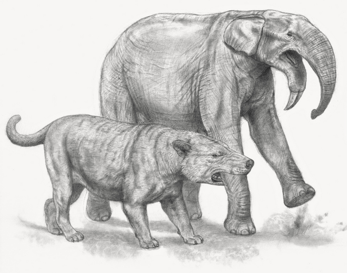 Мегистотерий нападает на продейнотерия