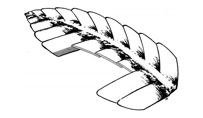 Протоперо Ригала