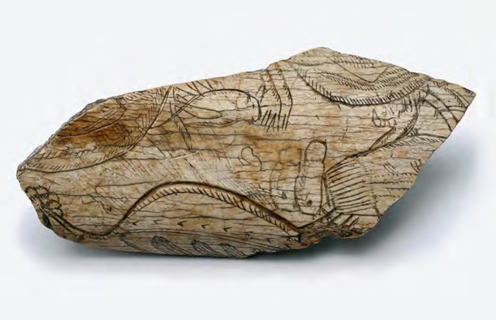 Фрагмент кости зубра с рисунком