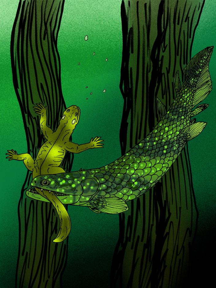 Рыба барамеда