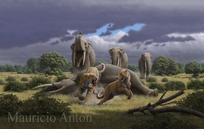 Амфиционида отгоняют от добычи