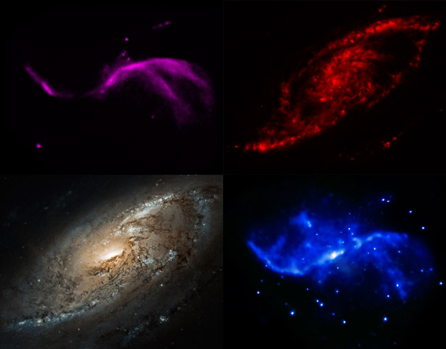 Галактика М106 в различных спектральных диапазонах