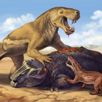 Иностранцевия в Африке