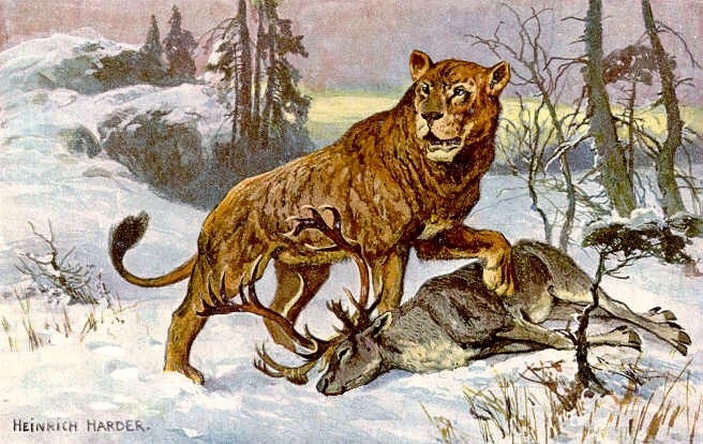 Пещерный лев и северный олень