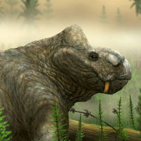 Портрет рабидозавра