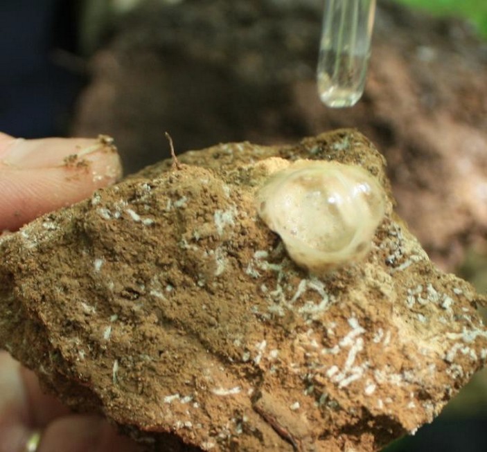 Вскипание карбонатов