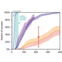Рис. 1. Сумасшедший муравей Paratrechina longicornis