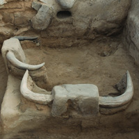 Букрании из Чатал-Гуюк