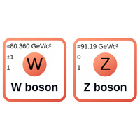 Промежуточные векторные бозоны