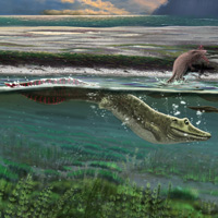 Так могла выглядеть лагуна в конце девонского периода