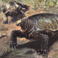 Реконструкция Alierasaurus ronchii
