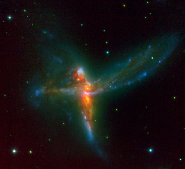 Анатомия космической птицы