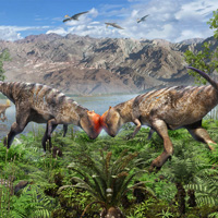 Молодые завацефалы бодаются