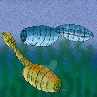 Дидазоониды