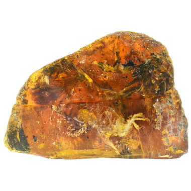 Новый птенец энанциорнисовой птицы, сохранившийся в янтаре из Бирмы