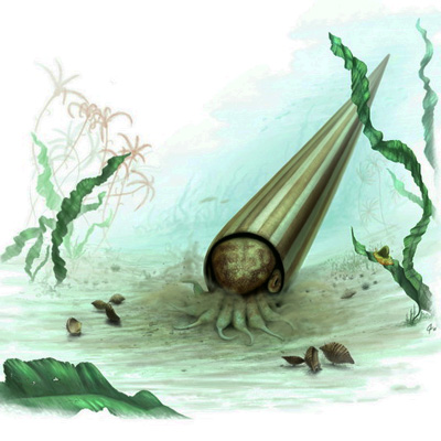 Как стать компактнее?