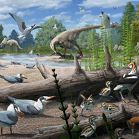 Орнитофауна арктики мелового периода