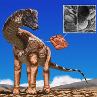 Хотя традиционно динозавров-зауроподов изображают однотонными, как современных крупных млекопитающих вроде слонов и носорогов, на деле они могли быть довольно пестрыми