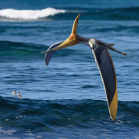 Реконструкция саратовского птеранодонтида