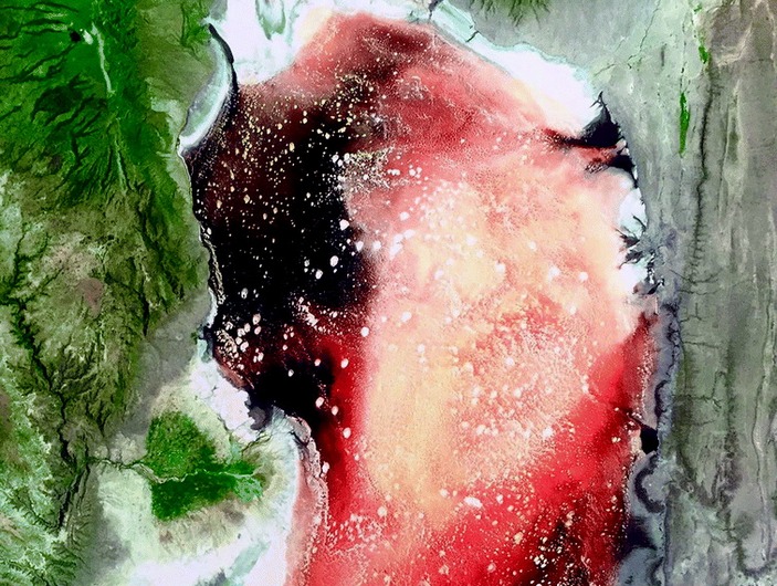 Озеро Натрон в период цветения