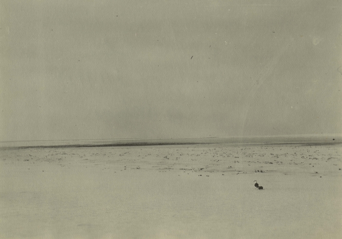 Опустевший Лайсан