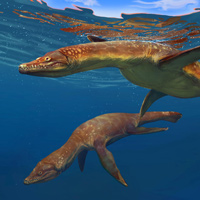 Раннеюрские морские плезиозавры Rhomaleosaurus