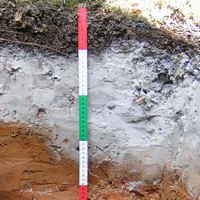 Разные подзолы