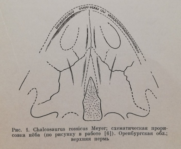 Рисунок Ивахненко