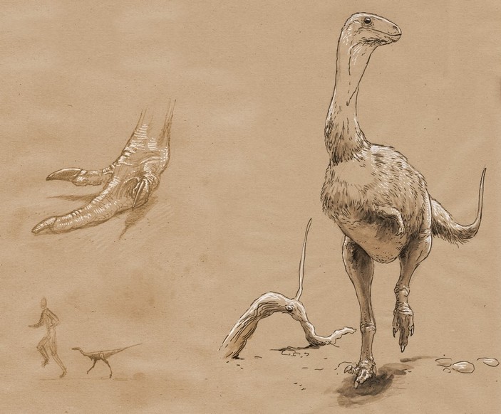 Весперзавр