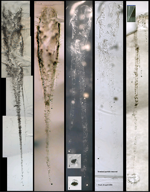 Образцы «звездной пыли» из кометы 81P/Вильда, пойманные аэрогелевыми ловушками исследовательского аппарата Stardust