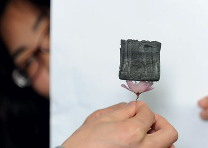 Графеновый аэрогель, созданный сотрудниками Чжэцзянского университета в Ханчжоу, — самое легкое твердое вещество в мире