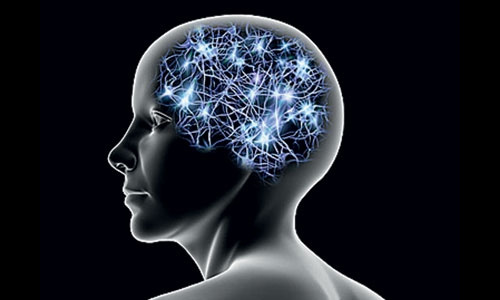 Удачная комбинация. Поскольку фМРТ обеспечивает хорошее пространственное разрешение и не очень хорошее временное, а ЭЭГ — наоборот, для изучения паттернов активности мозга логично использовать сочетание этих методов. Японские ученые в работе по «подглядыванию сна» поступили именно так: с помощью ЭЭГ отслеживались фазы, когда испытуемые видели сны, а с помощью фМРТ записывалась активность различных областей мозга