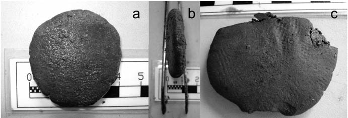 Таблетка анфас и в профиль. На ее поверхности видны следы пресса (фото из статьи)