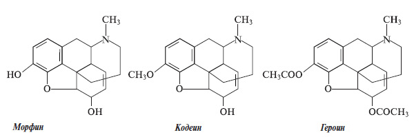 Изображение: «Химия и жизнь»