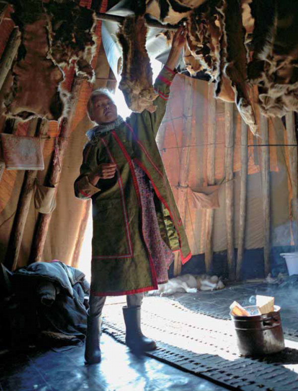 Просушка оленьих шкур в чуме. Стойбище Воен-то (фото: «Наука из первых рук»)