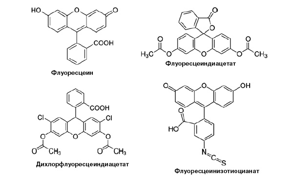 <b>Рис. 4.</b> Структурные формулы флуоресцеина и некоторых его производных