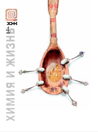 «Химия и жизнь» №4, 2007